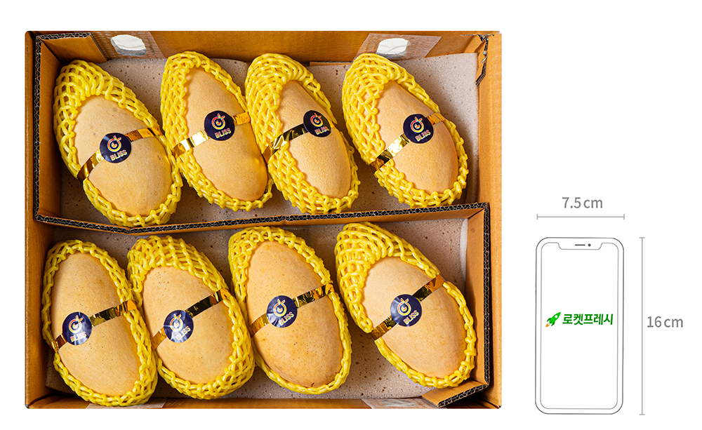 이웃마을 태국산 남독마이 망고, 3.8kg