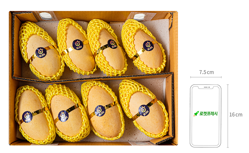 이웃마을 태국산 남독마이 망고, 3.8kg