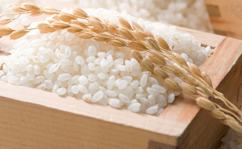 한음미가 2025년산 햅쌀 전라미 쌀