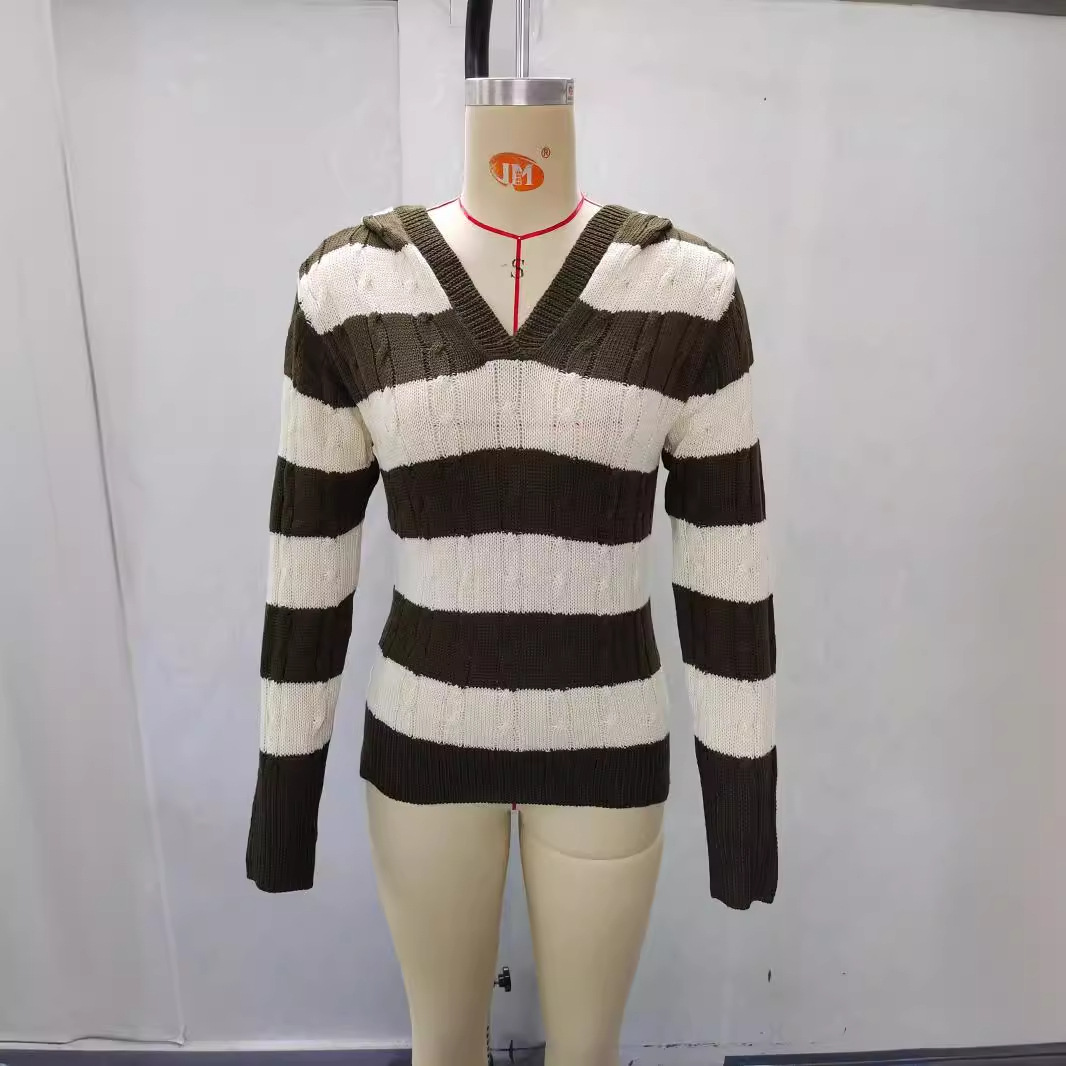 Striped V-Neck Hooded Knit Top