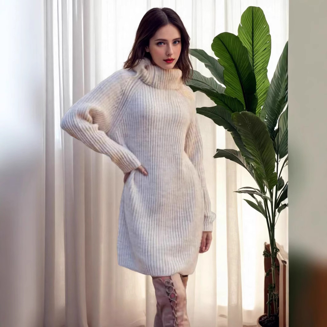 Women's High Neck Knit Long Straight Dress Lazy Style