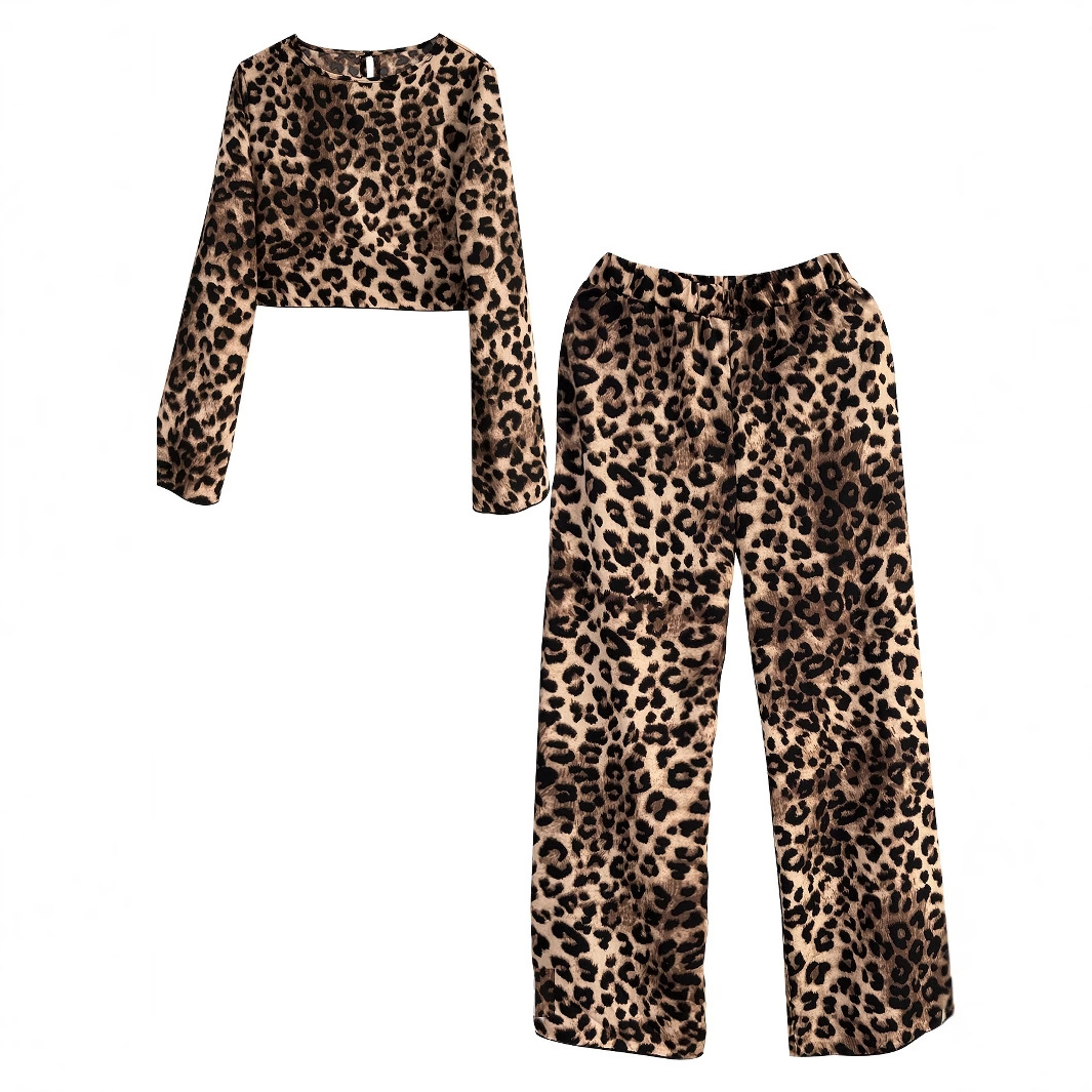 Leopard Print Long Sleeve Top and Pants Two-Piece Set