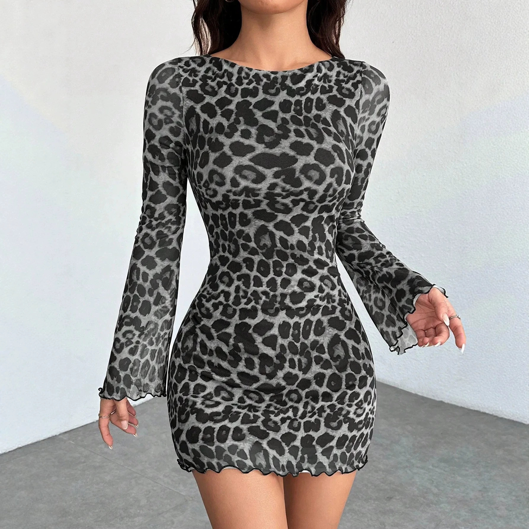 Leopard Print Long Sleeve Round Neck Mesh A-Line Mini Dress