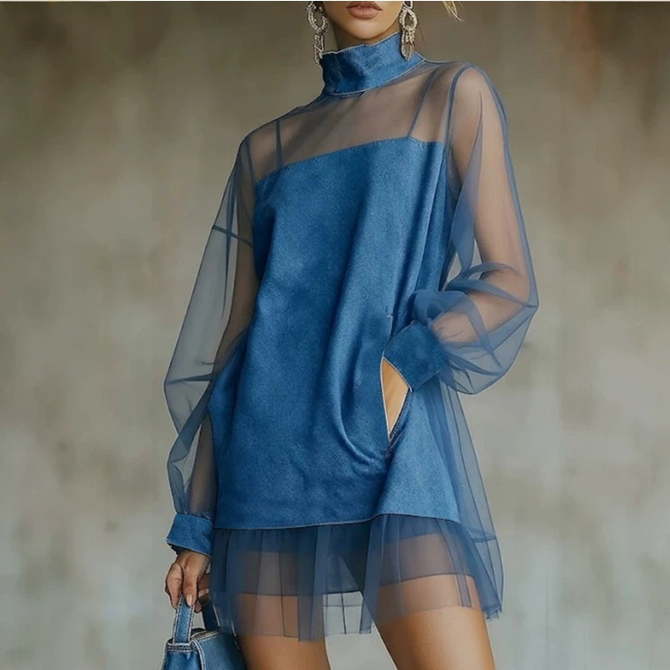 Women's Sheer Mesh Long Sleeve Mini Dress Solid Color