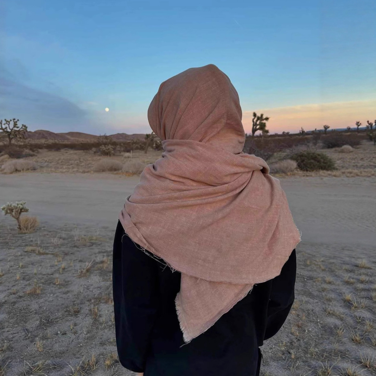 Women's Hooded Sweatshirt with Scarf Color Block Streetwear