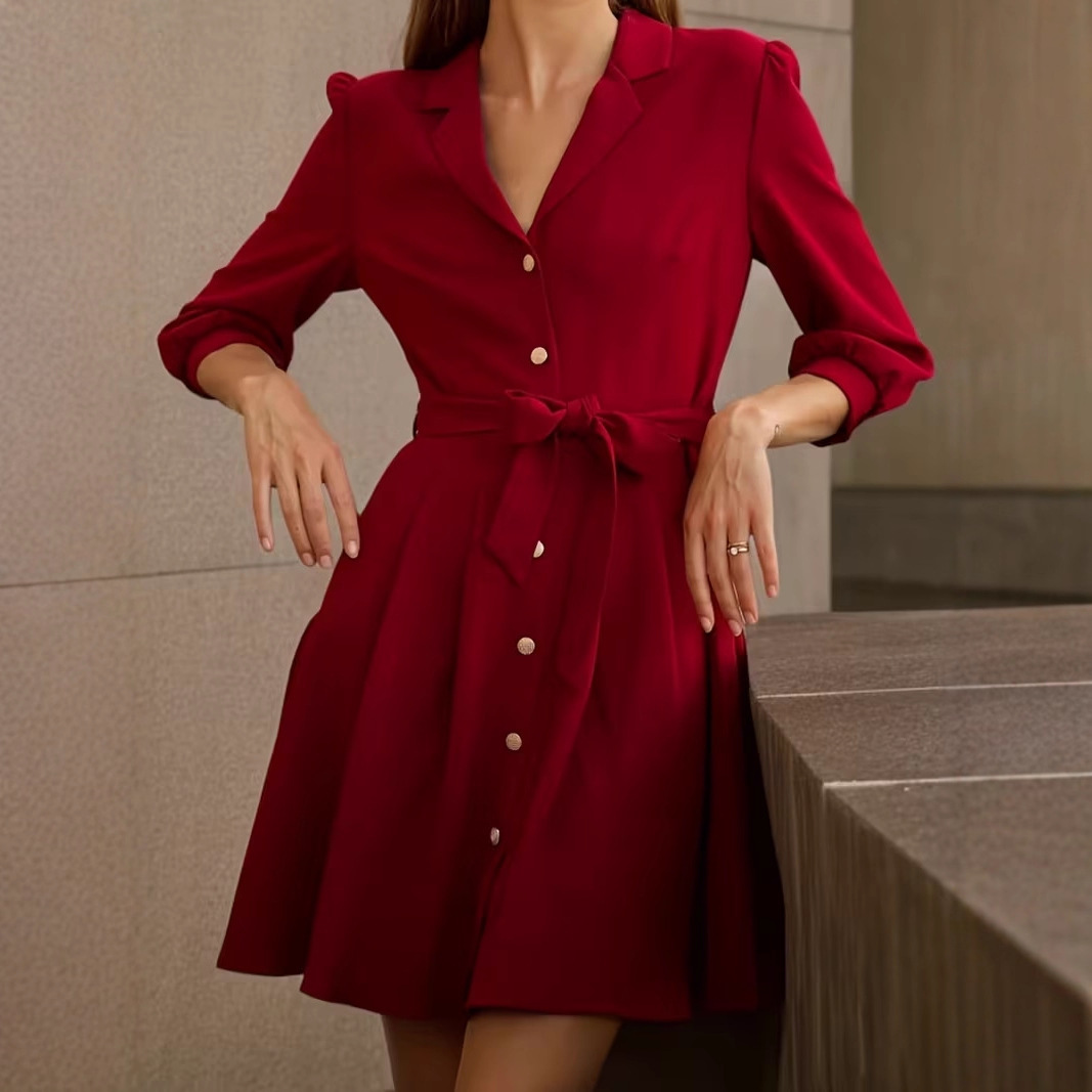 Elegant Retro A-Line Shirt Dress with Tie and Puff Sleeves