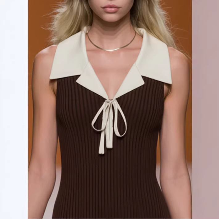 Elegant Sleeveless Knit Mini Dress with Colorblock Detail