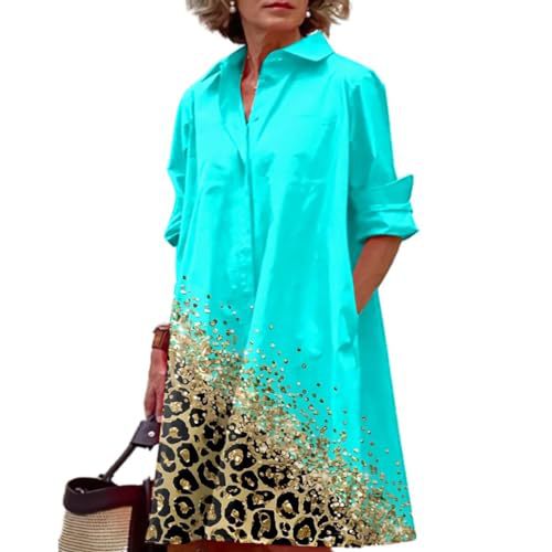 Women's Floral Print Lapel Collar Sheath Dress