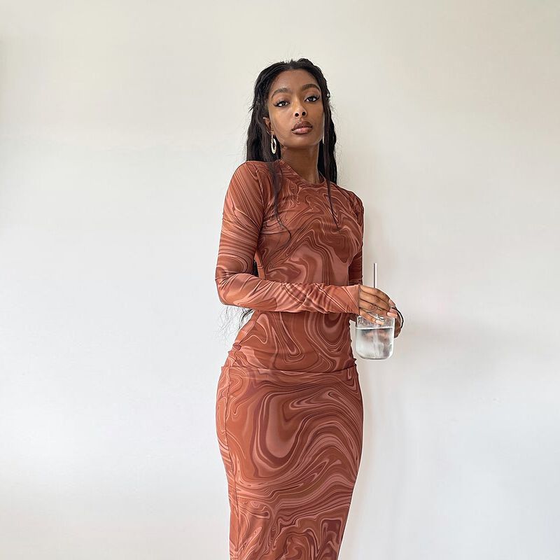 Women's Long Sleeve Round Neck Print Midi Sheath Dress