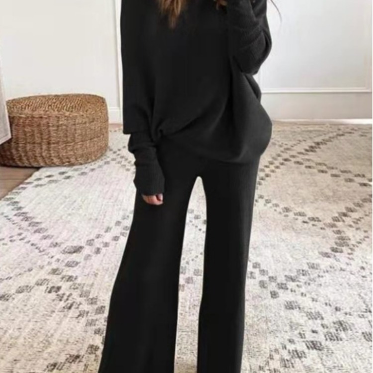 Women's Solid Color Batwing Sleeve Two-Piece Pant Set Casual Fall