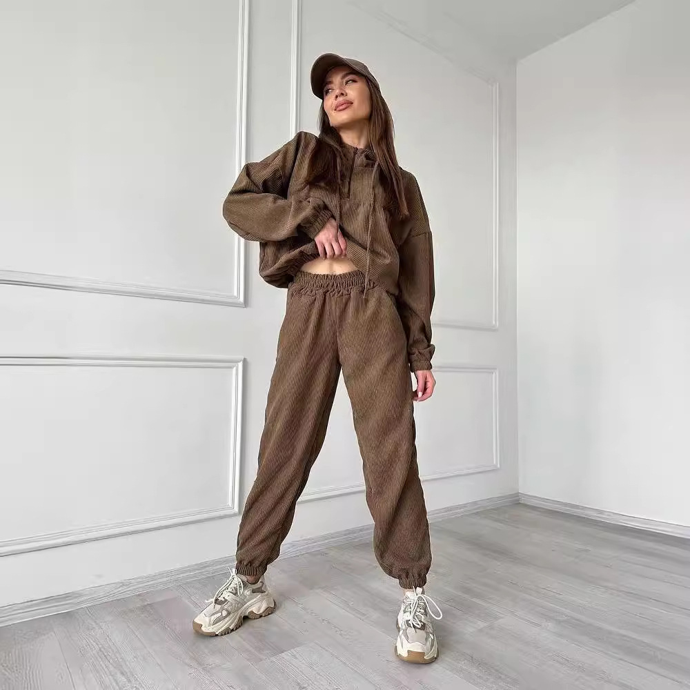 Women's Long Sleeve Hooded Zip Two-Piece Pant Set