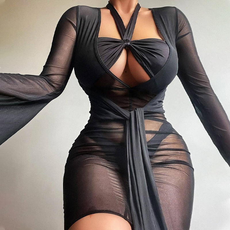 Women's Sheer Mesh Deep V-Neck Bodycon Dress