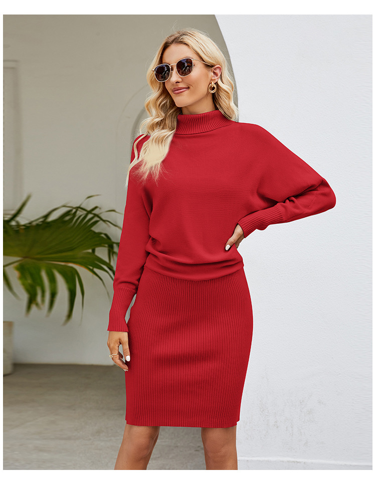 Solid Long Knit Bodycon Dress with High Neck