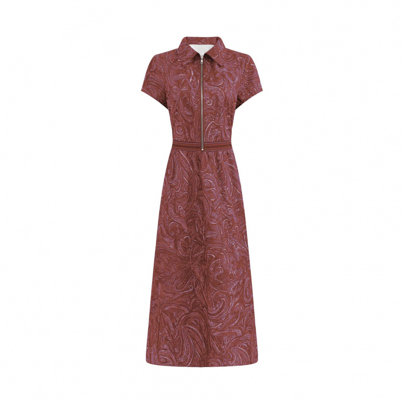 Retro Paisley Print Collared A-Line Midi Dress