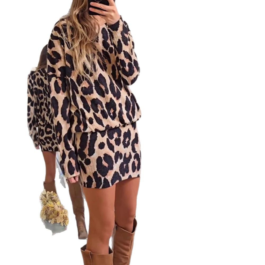 Leopard Print Long Sleeve Dress Set