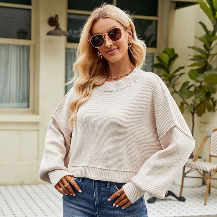 Women's Loose Cropped Crewneck Pullover Sweater Long Sleeve Knit Top