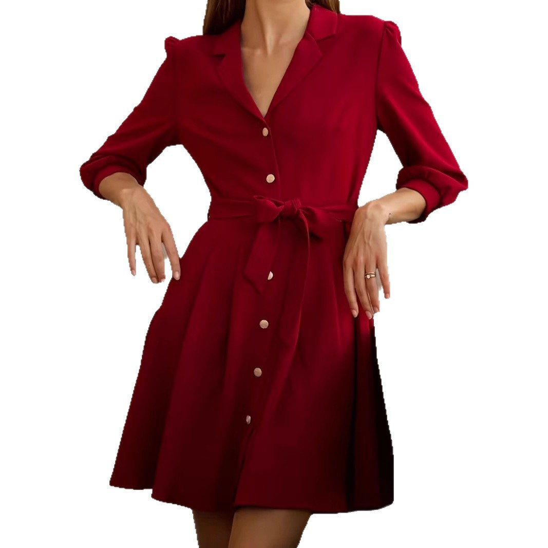 Elegant Retro A-Line Shirt Dress with Tie and Puff Sleeves