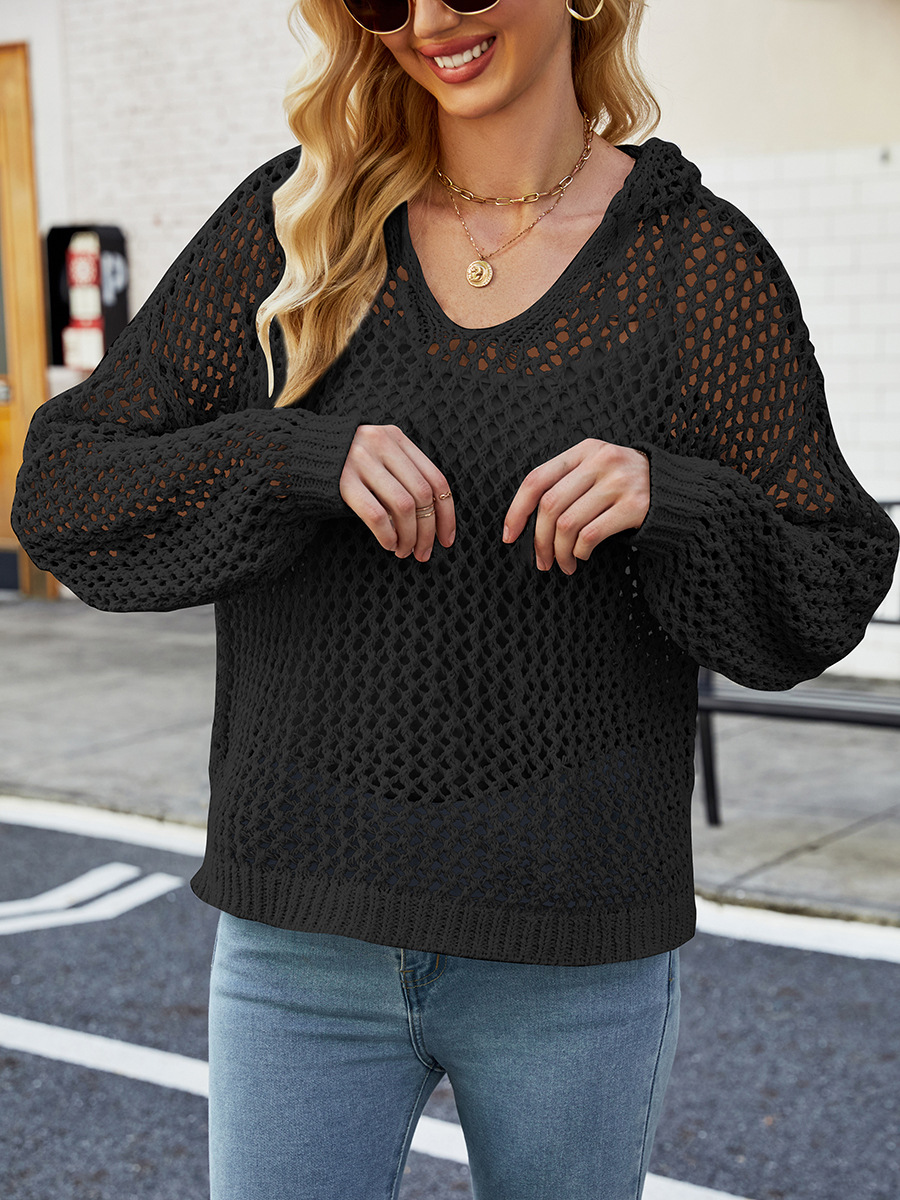 Women's Loose Long Sleeve Hollow Out Hooded Sweater