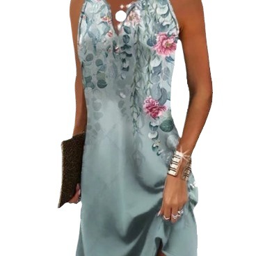 Floral Print Sleeveless V-Neck A-Line Dress