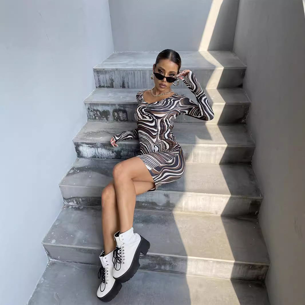 Women's Zebra Print V-Neck Long Sleeve Short Dress