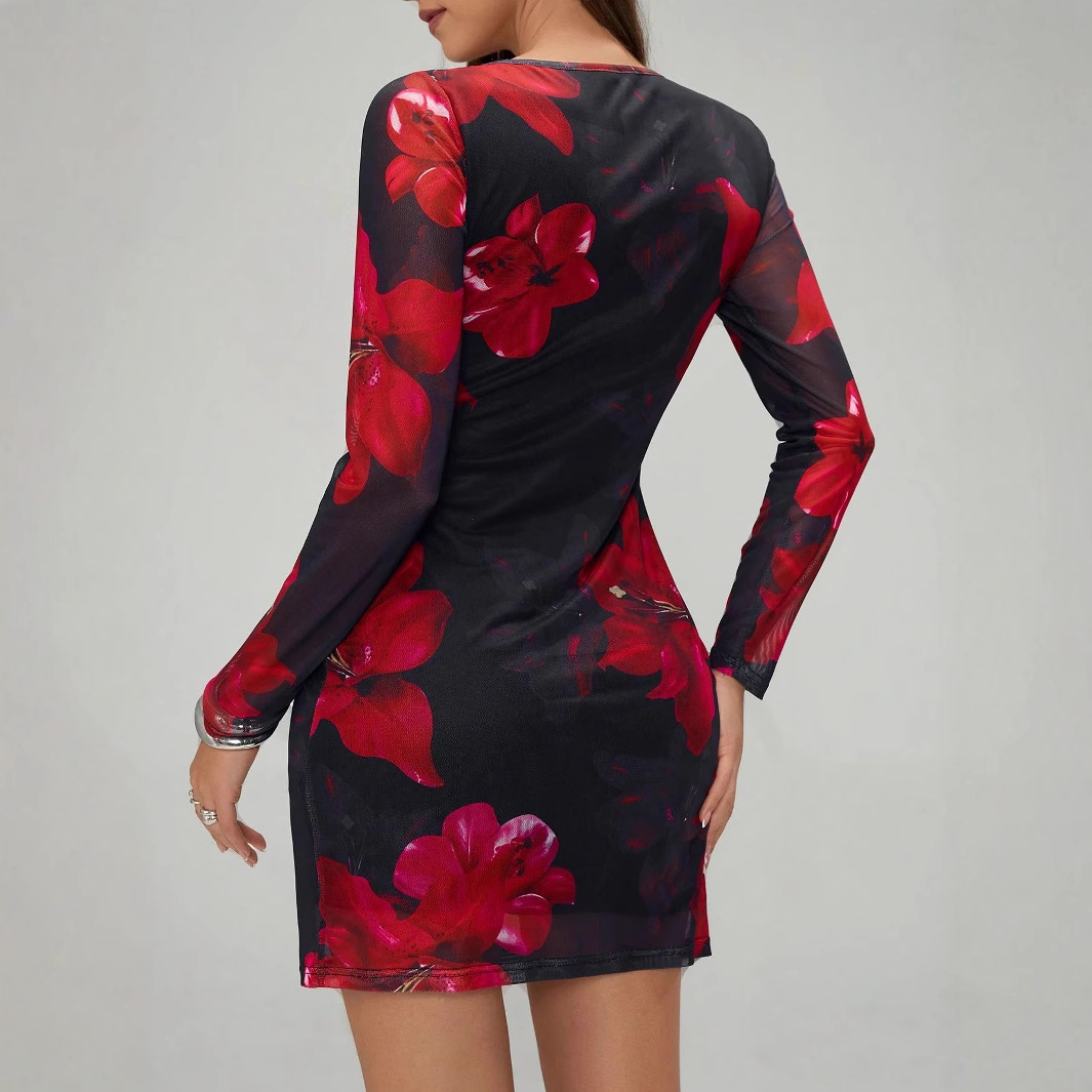 Women's Floral Print Mesh Bodycon Long Sleeve Dress