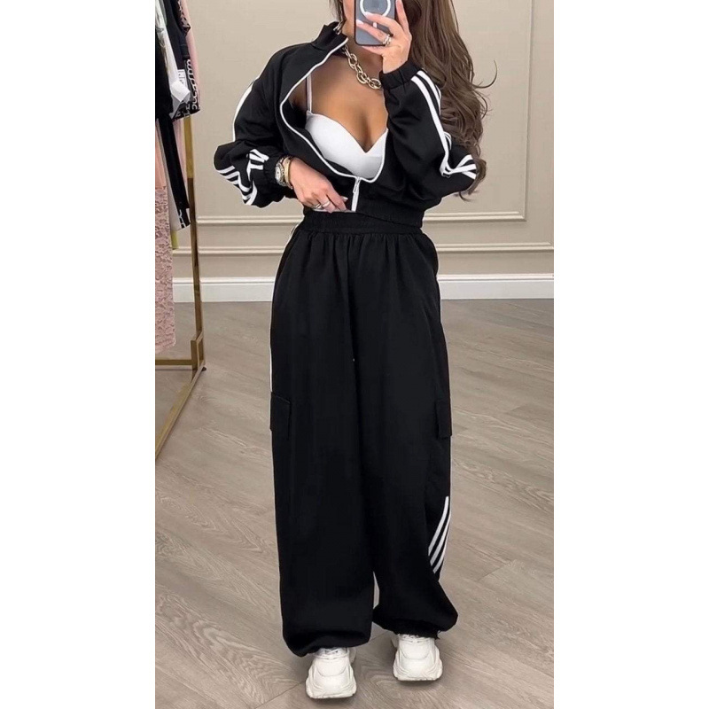 Women's Urban Style Polyester Long Sleeve Pants Casual Set