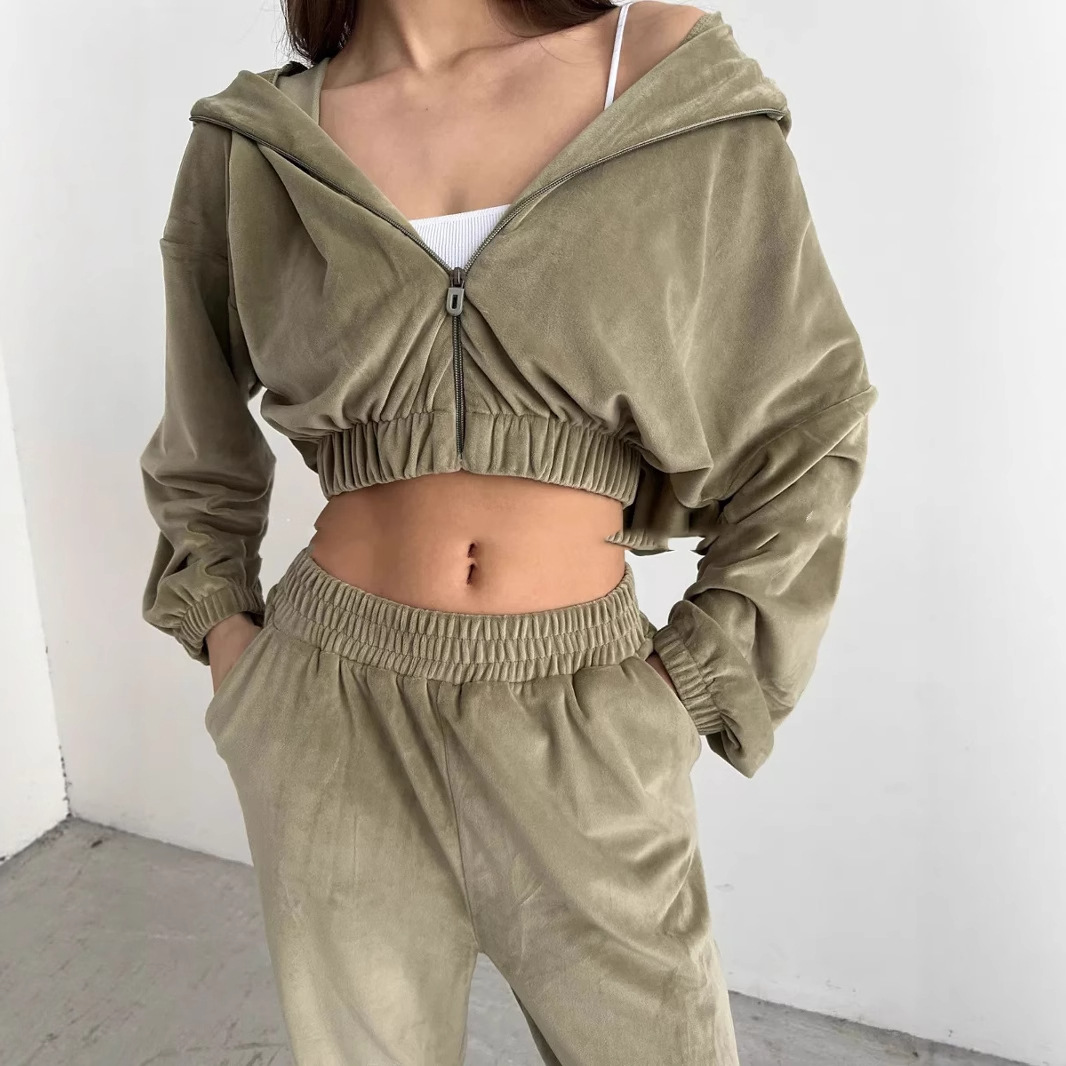 Women's Hooded Zip-Up Sweatsuit 2-Piece Set, Velvet, Long Sleeve