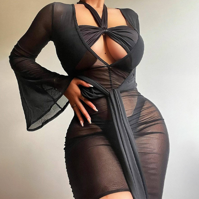 Women's Sheer Mesh Deep V-Neck Bodycon Dress