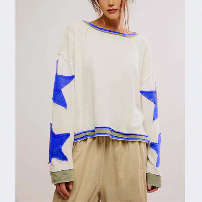 Women's Crewneck Pullover Sweatshirt Loose Fit Long Sleeve Colorblock