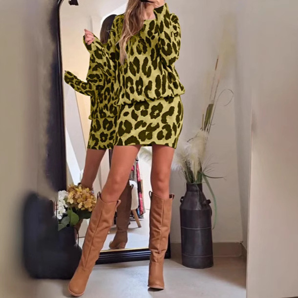 Leopard Print Long Sleeve Dress Set