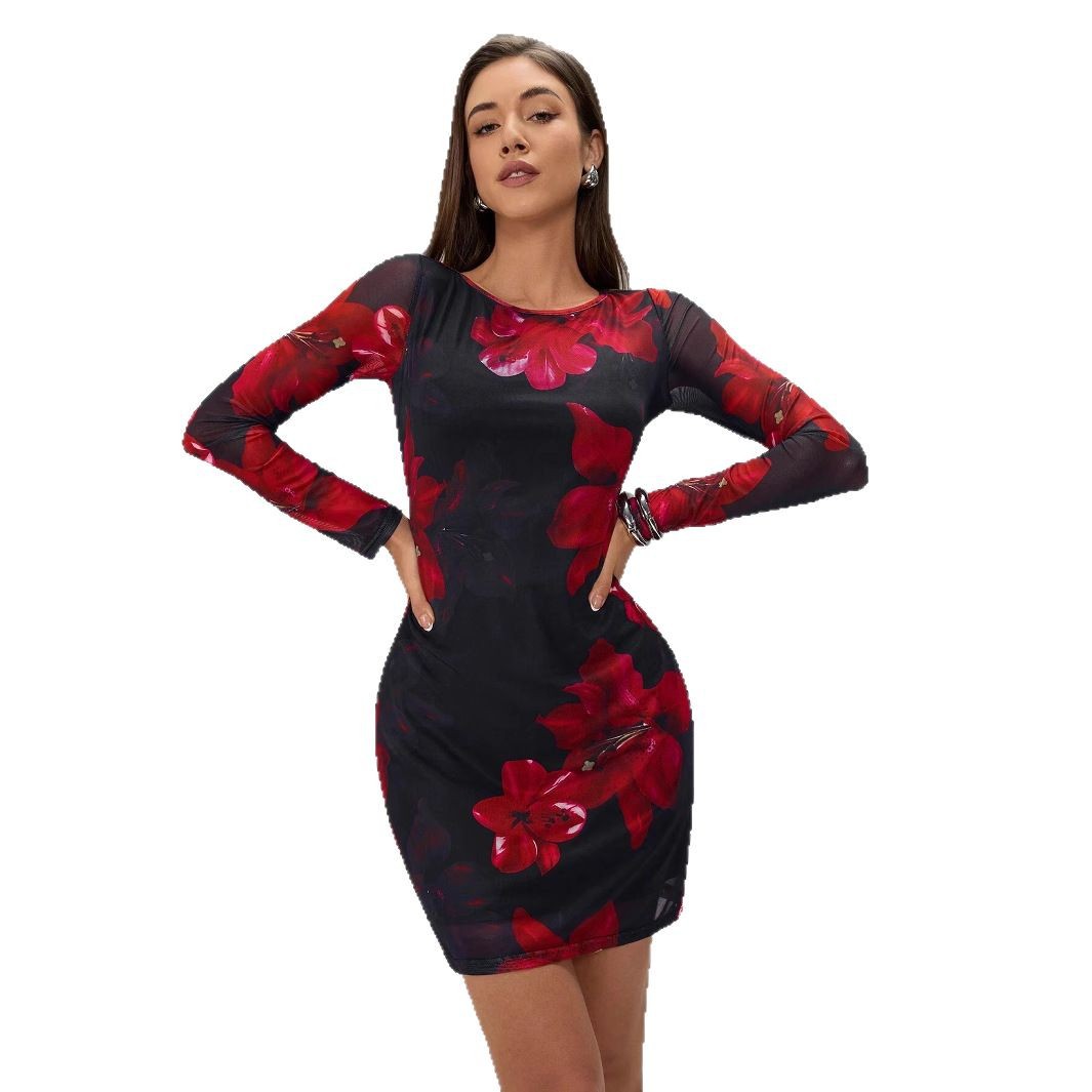 Women's Floral Print Mesh Bodycon Long Sleeve Dress