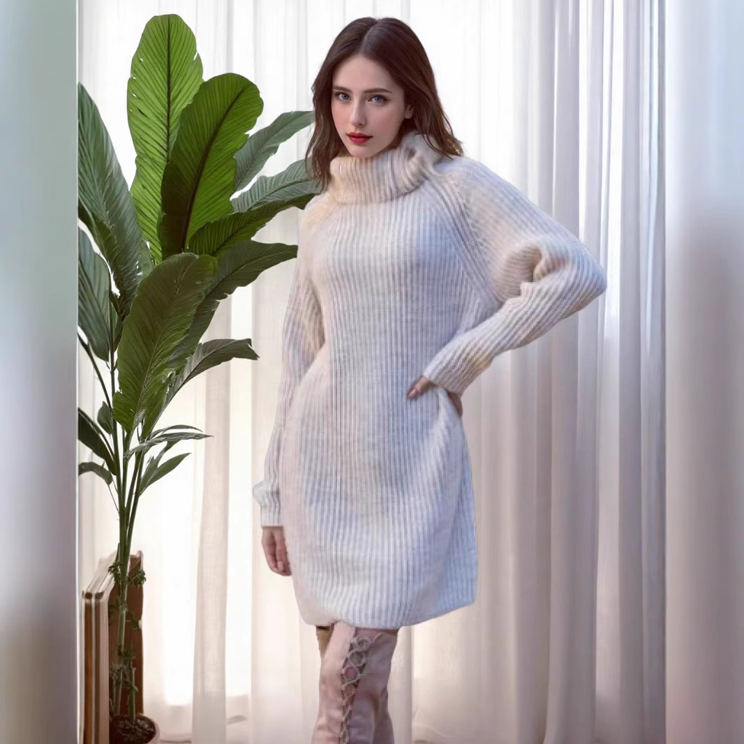 Women's High Neck Knit Long Straight Dress Lazy Style