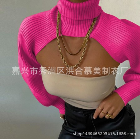 Women's Lantern Sleeve Turtleneck Knit Sweater with Knit Sleeves Solid Color
