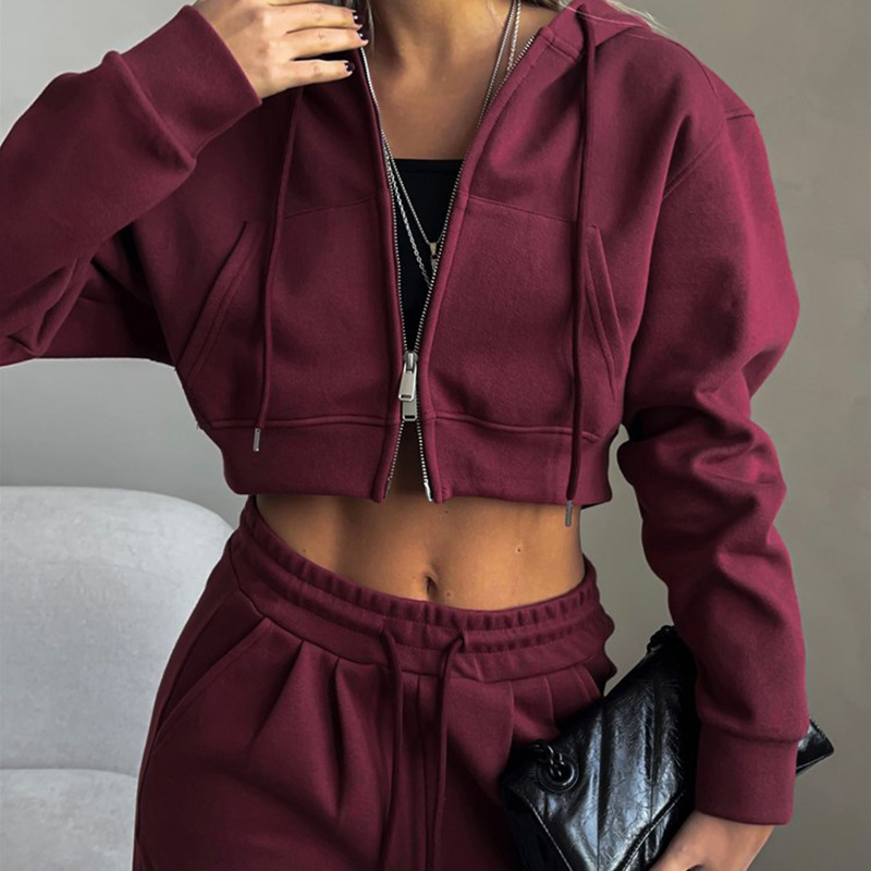 Women's Casual Two-Piece Set Cropped Hooded Cardigan and Tie-Front Joggers