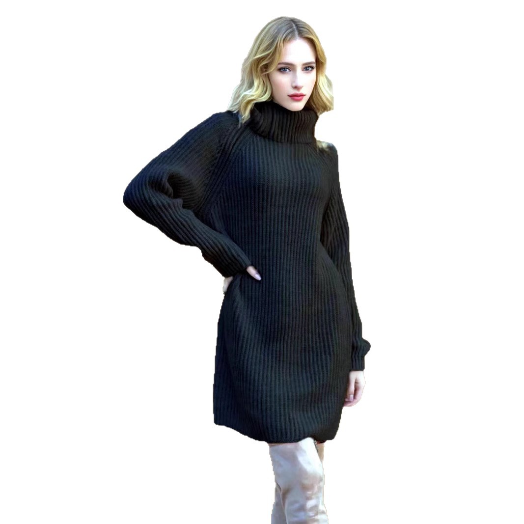 Women's High Neck Knit Long Straight Dress Lazy Style