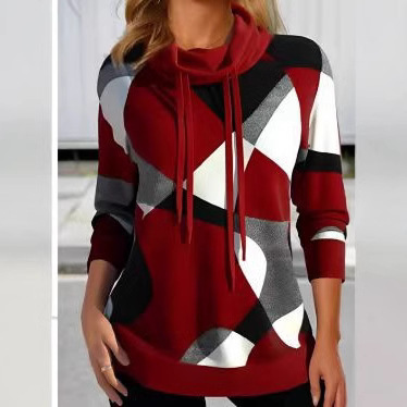 Printed High-Neck Pullover Sweatshirt