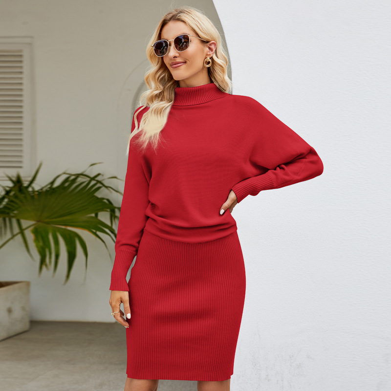 Solid Long Knit Bodycon Dress with High Neck