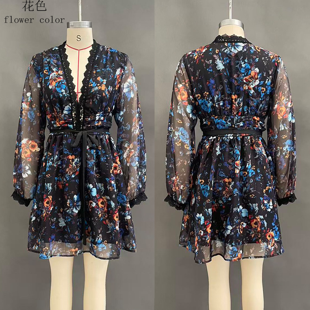 Women's V-Neck Long Sleeve Cinched Waist Organza Dress