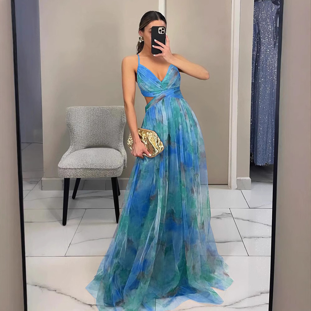 Women's Printed Mesh Cami Dress Sleeveless V-Neck Long Flowy Vacation Party Dress