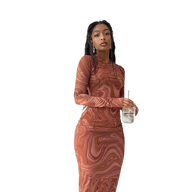 Women's Long Sleeve Round Neck Print Midi Sheath Dress
