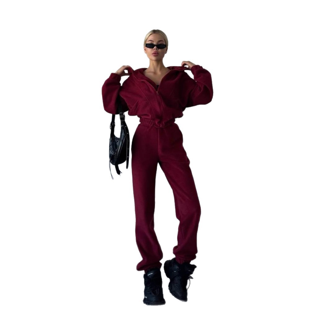 Women's Fleece Hooded Cardigan and Pants Set Long Sleeve Casual