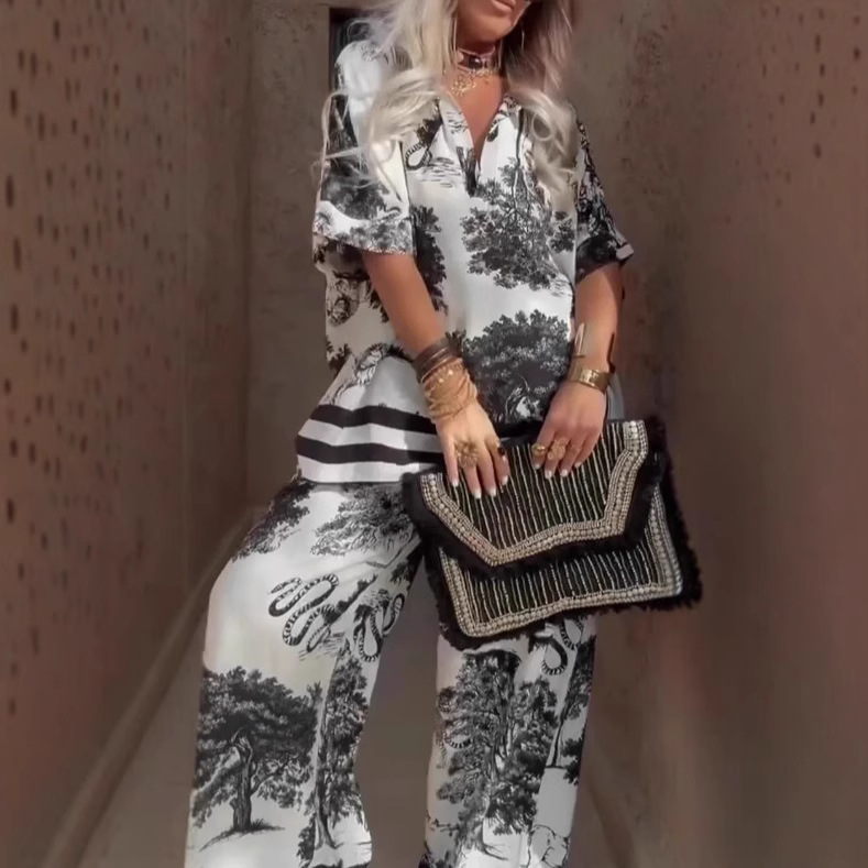 Women's V-Neck Printed Short-Sleeve Top and Wide-Leg Pants 2-Piece Set