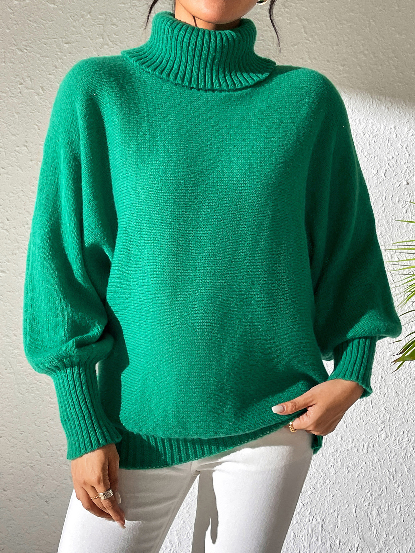 Women's Turtleneck Batwing Sleeve Pullover Sweater Solid Color Minimalist