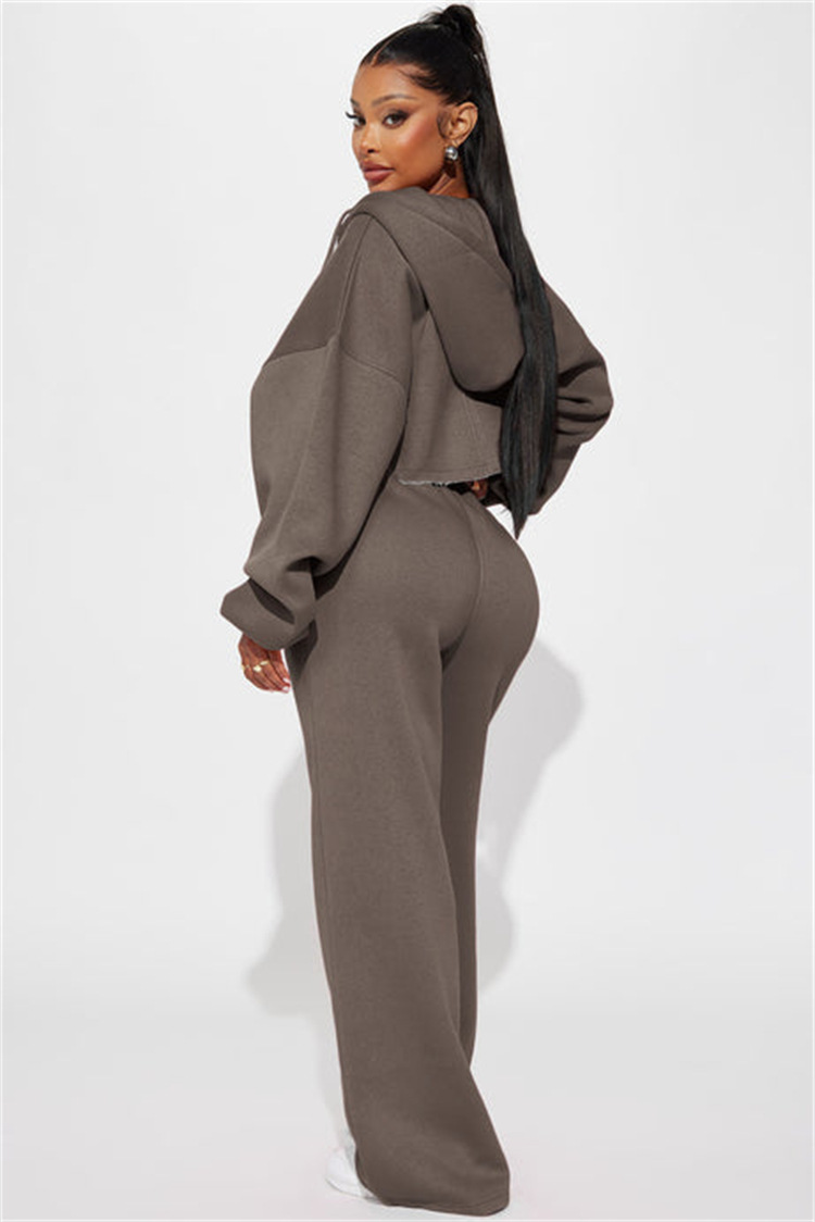 Women's Long Sleeve Zip-Up Sweatsuit Set Casual Sporty Two-Piece