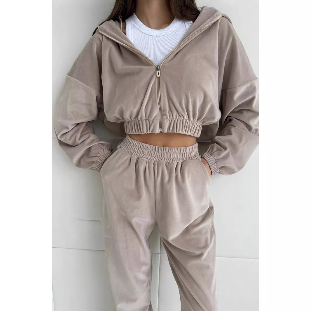 Women's Hooded Zip-Up Sweatsuit 2-Piece Set, Velvet, Long Sleeve