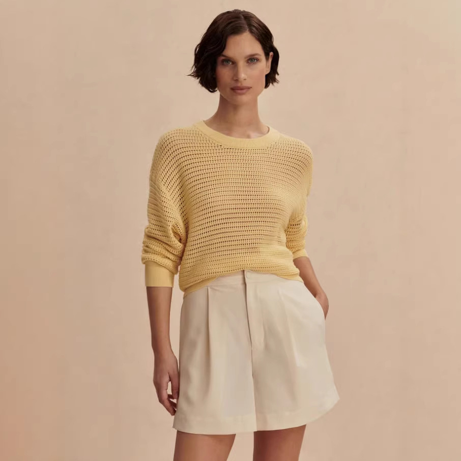 Women's Solid Color Slim Fit Open Knit Long Sleeve Crew Neck Top