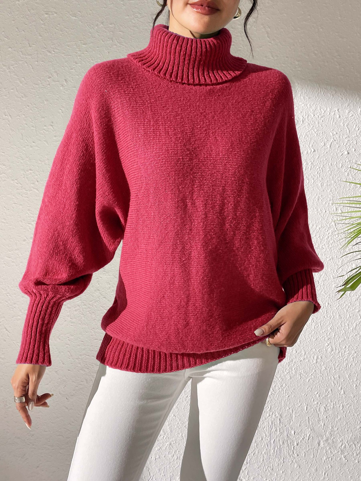 Women's Turtleneck Batwing Sleeve Pullover Sweater Solid Color Minimalist
