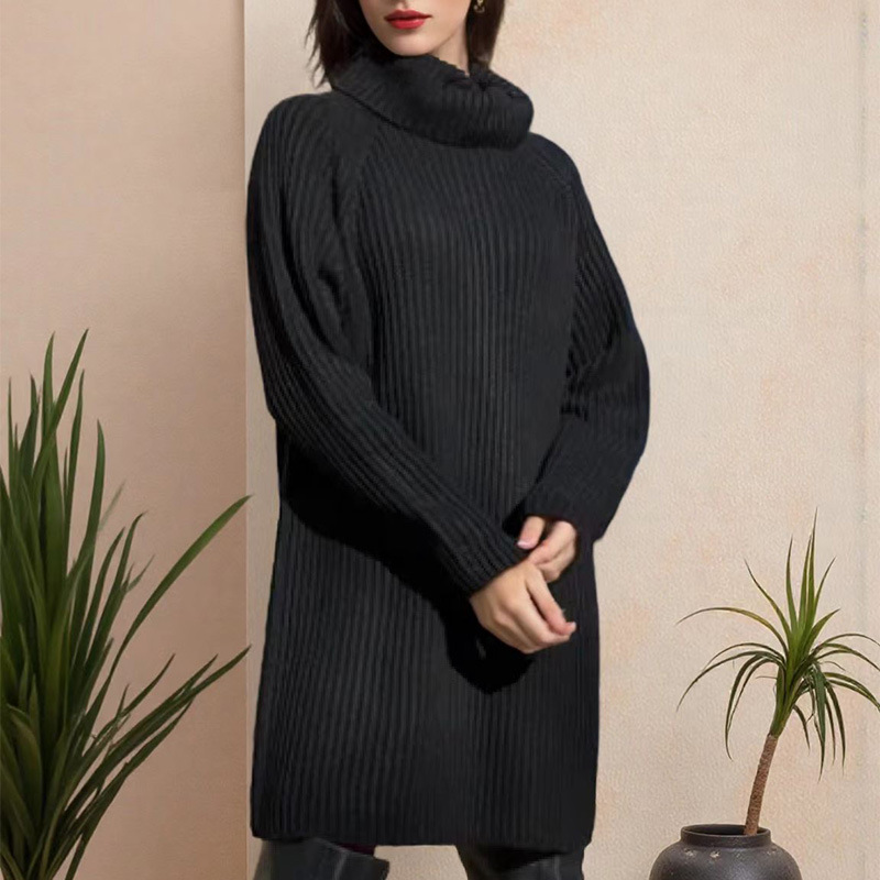 Women's High Neck Knit Long Straight Dress Lazy Style