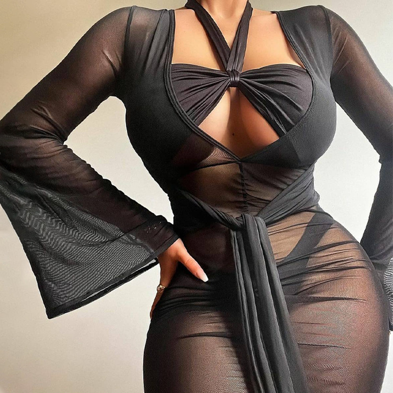 Women's Sheer Mesh Deep V-Neck Bodycon Dress