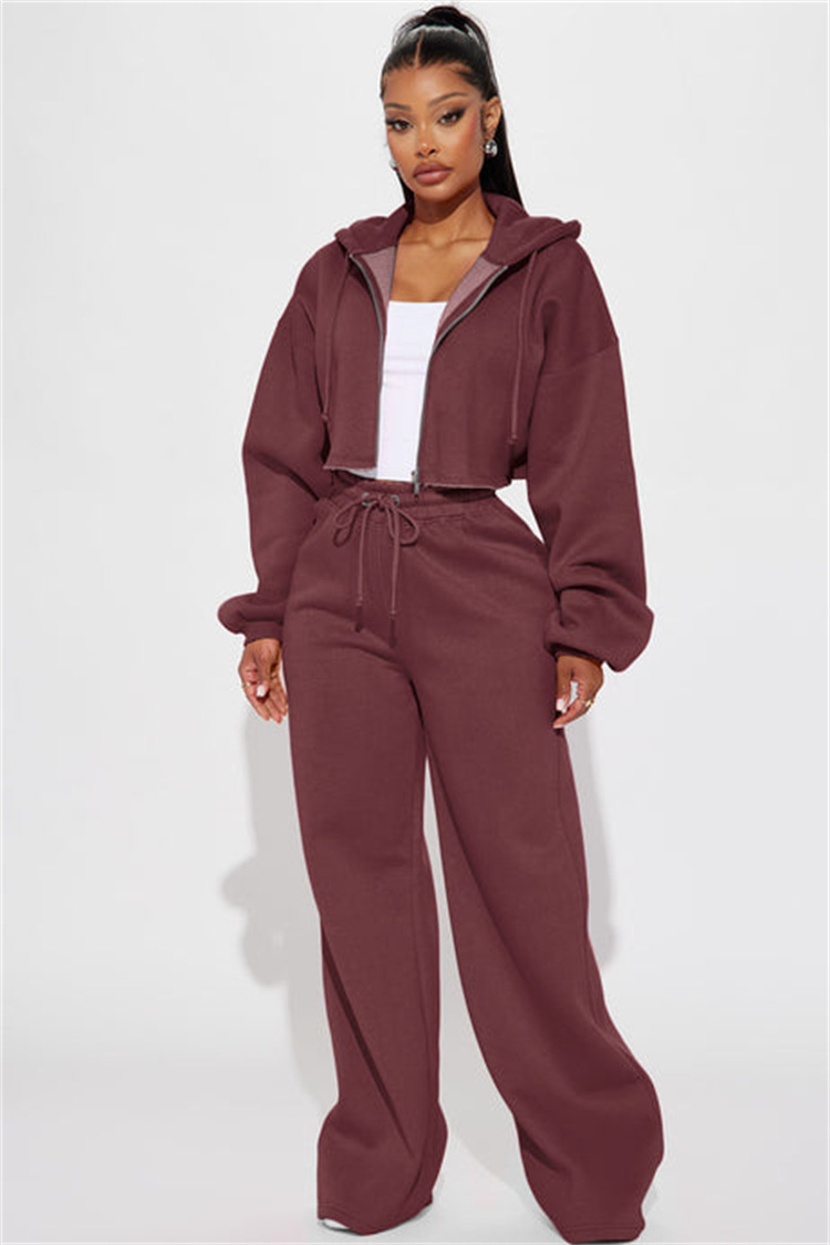Women's Long Sleeve Zip-Up Sweatsuit Set Casual Sporty Two-Piece